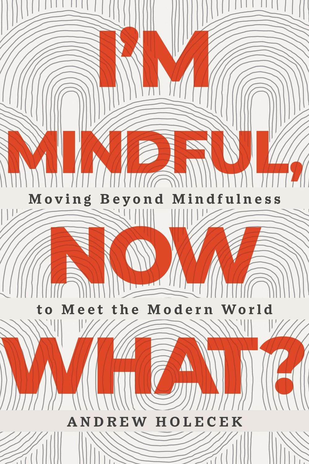 Cover: 9781649631077 | I'm Mindful, Now What? | Andrew Holecek | Taschenbuch | Englisch