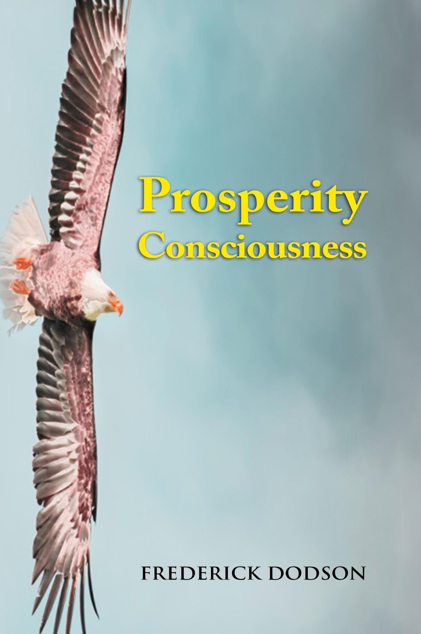 Cover: 9781008987166 | Prosperity Consciousness | Frederick Dodson | Buch | Englisch | 2021