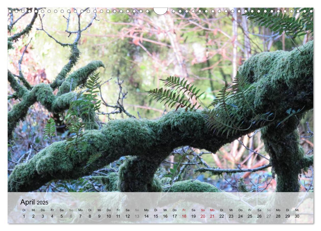 Bild: 9783435462674 | Bretagne - Wildnis Finistère (Wandkalender 2025 DIN A3 quer),...