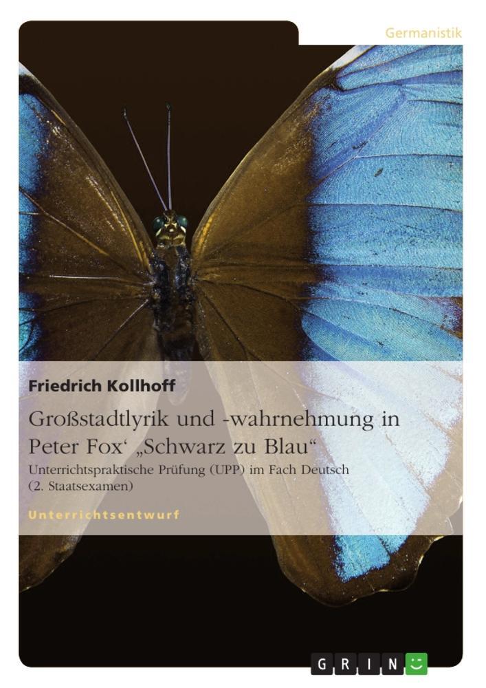 Cover: 9783656029007 | Großstadtlyrik und -wahrnehmung in Peter Fox' "Schwarz zu Blau" | Buch