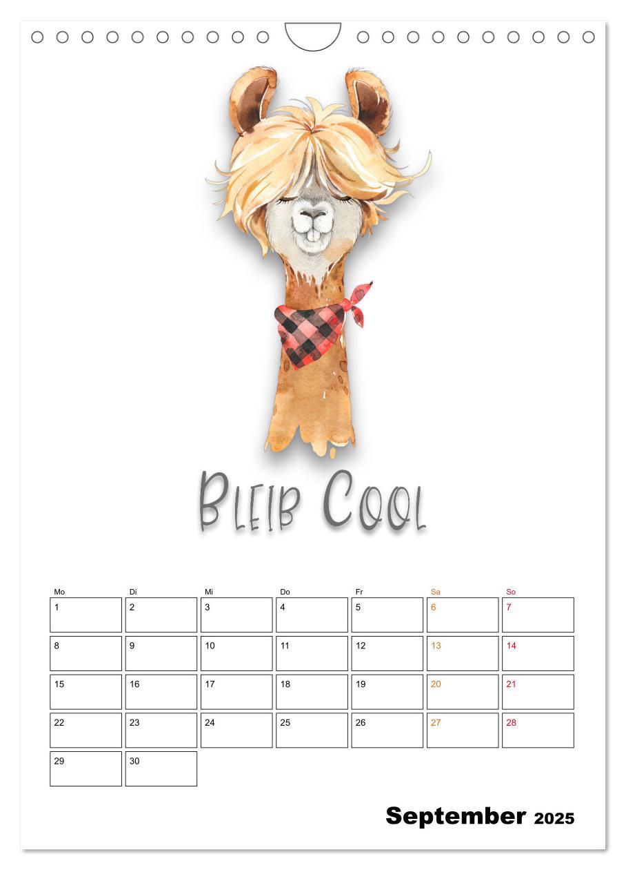 Bild: 9783435904150 | Bleib cool - Gute-Laune-Kalender (Wandkalender 2025 DIN A4 hoch),...