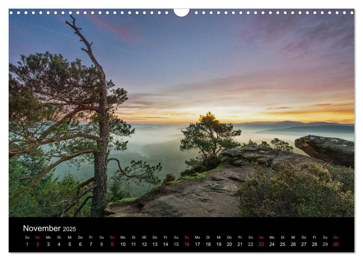 Bild: 9783435592432 | Mystischer Pfälzer Wald (Wandkalender 2025 DIN A3 quer), CALVENDO...