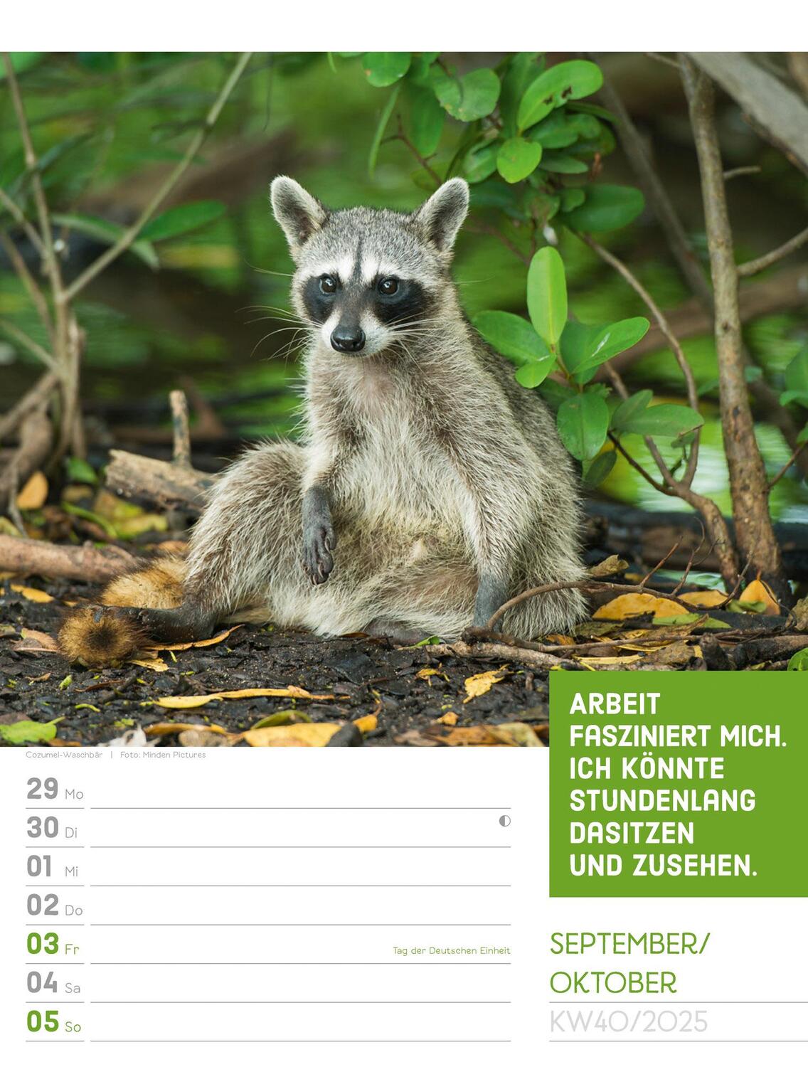 Bild: 9783838425962 | Tierisch! Sprüchekalender - Wochenplaner Kalender 2025 | Kunstverlag