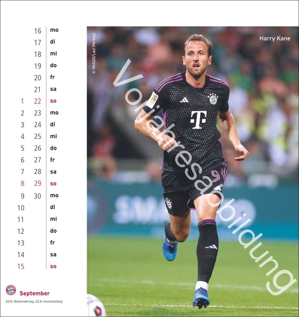 Bild: 9783756405466 | FC Bayern München Postkartenkalender 2025 | Heye | Kalender | 13 S.