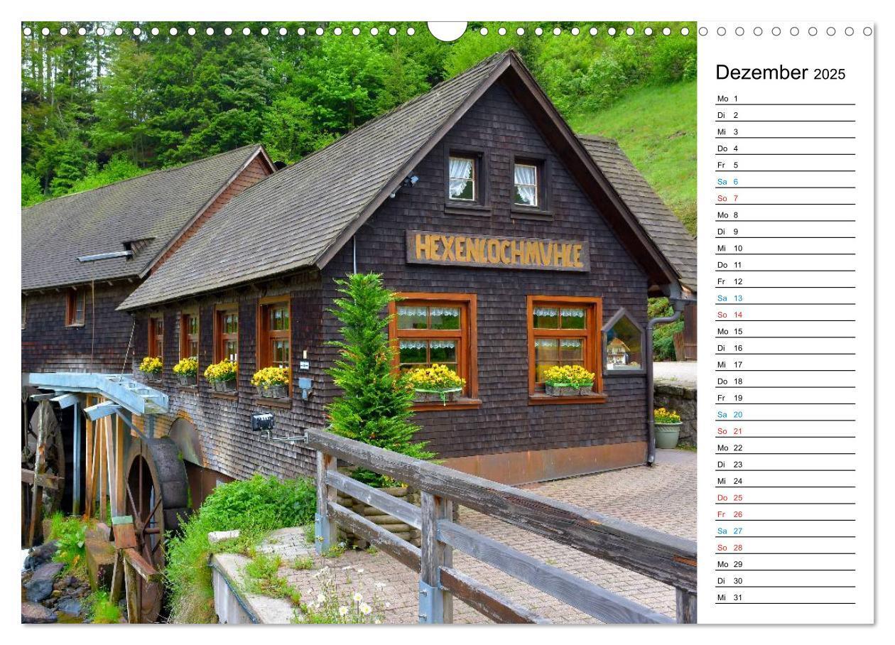 Bild: 9783435693313 | Hochschwarzwald (Wandkalender 2025 DIN A3 quer), CALVENDO...