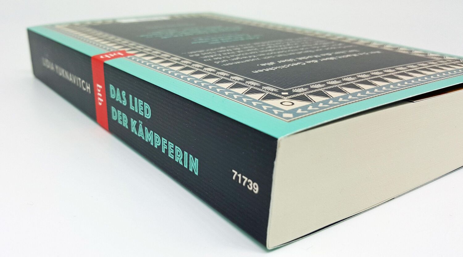 Bild: 9783442717392 | Das Lied der Kämpferin | Roman | Lidia Yuknavitch | Taschenbuch | 2021