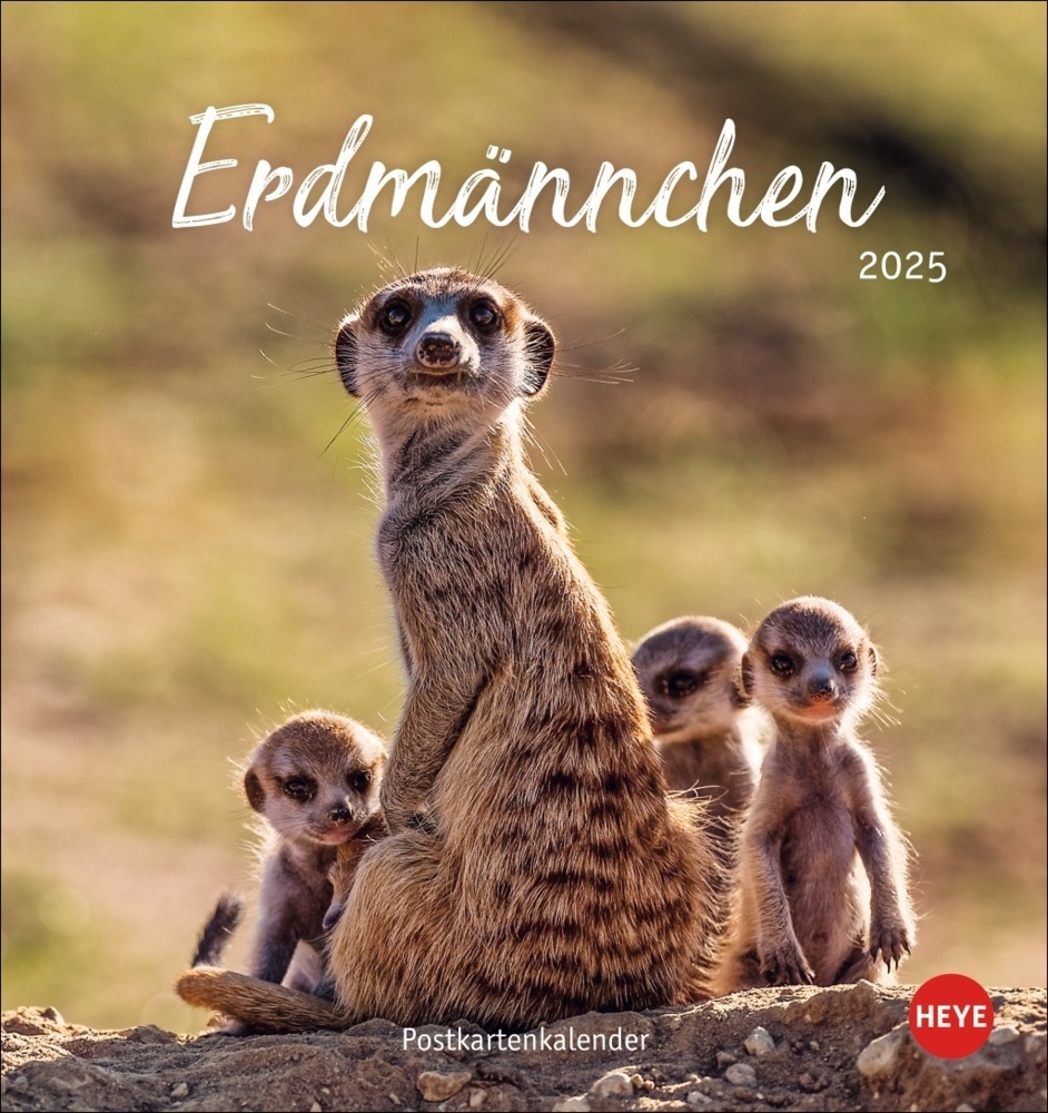 Cover: 9783756407163 | Erdmännchen Postkartenkalender 2025 | Kalender | Spiralbindung | 13 S.