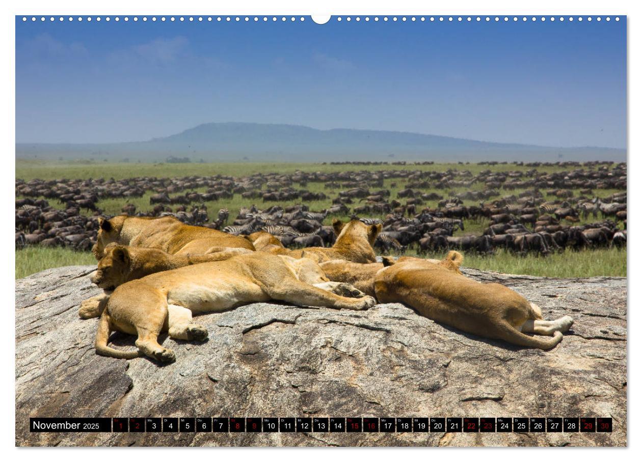 Bild: 9783435338962 | Tansania - Tierwanderung in der Serengeti (hochwertiger Premium...