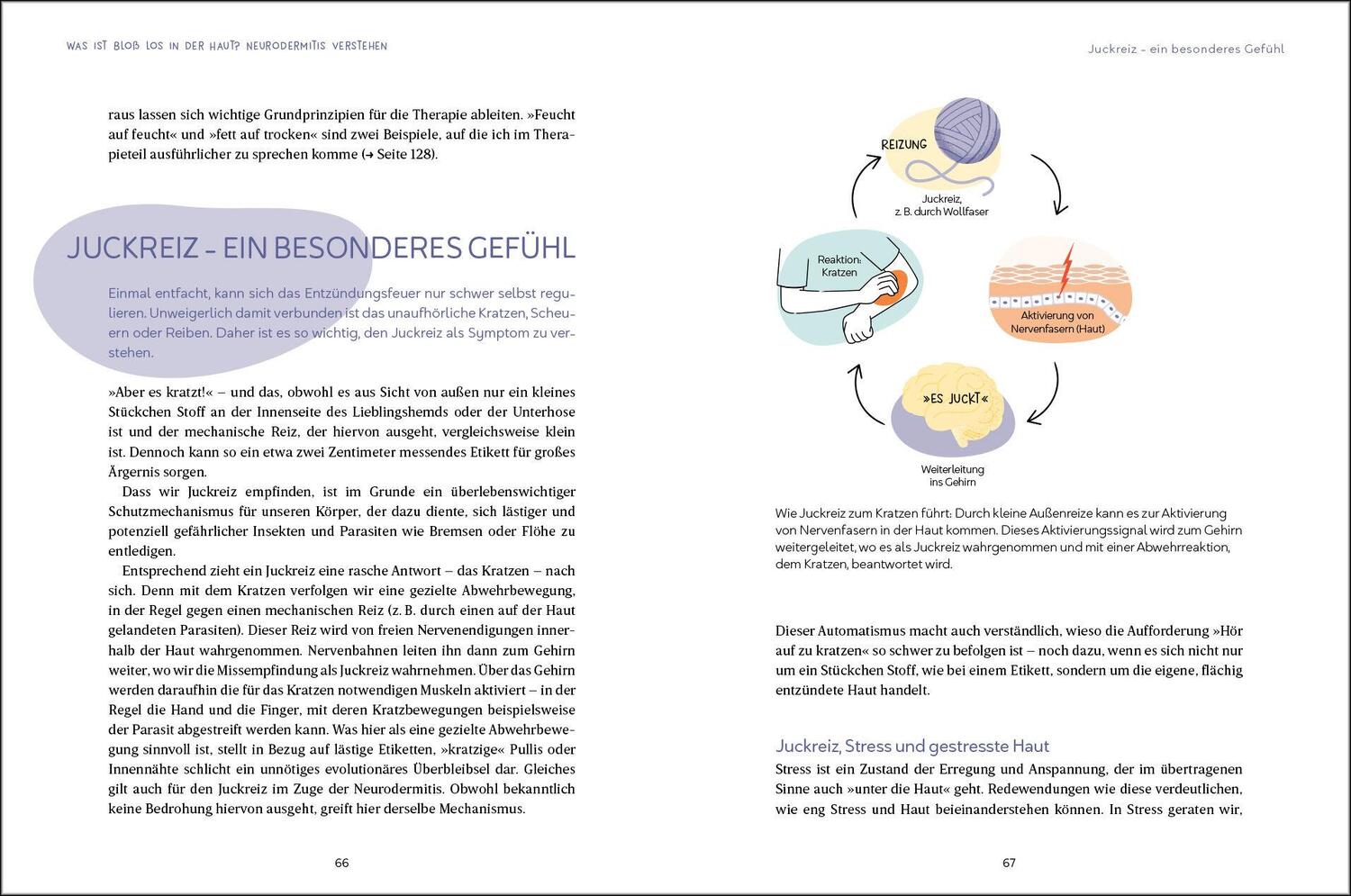 Bild: 9783517103457 | Neurodermitis endlich im Griff | Andreas Weins | Taschenbuch | 224 S.