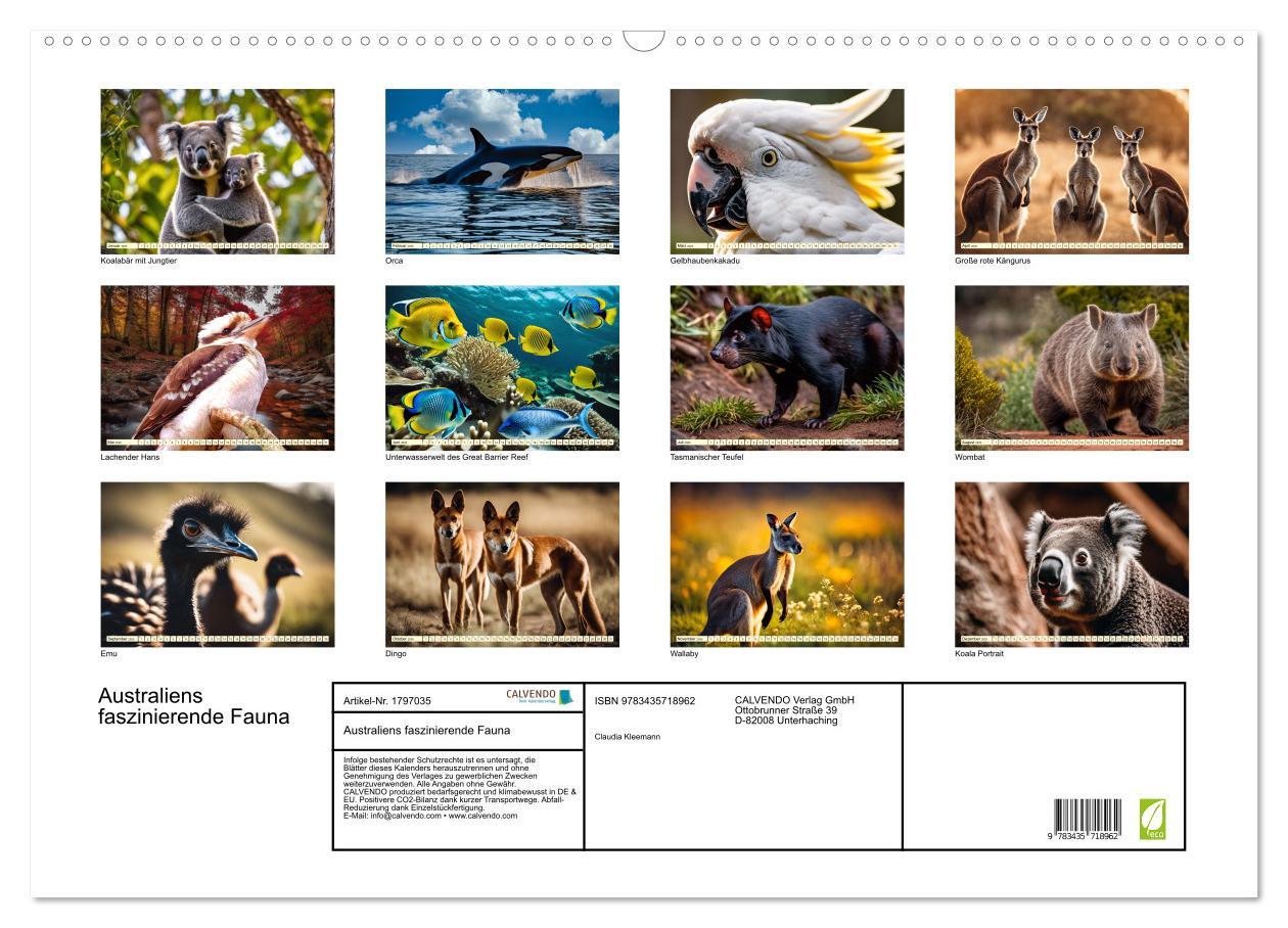 Bild: 9783435718962 | Australiens faszinierende Fauna (Wandkalender 2025 DIN A2 quer),...