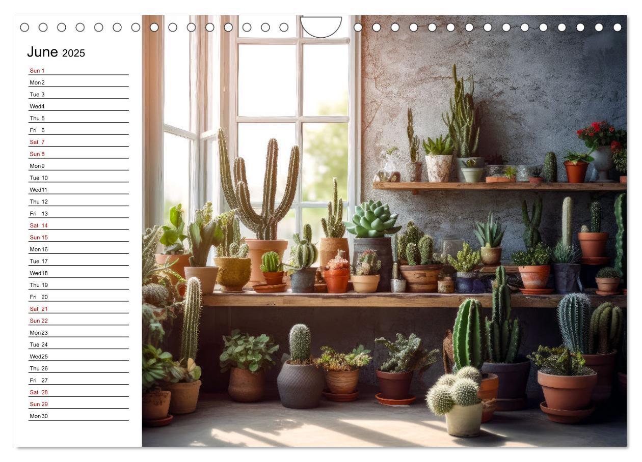 Bild: 9781325833092 | Cacti Wonderland (Wall Calendar 2025 DIN A4 landscape), CALVENDO 12...