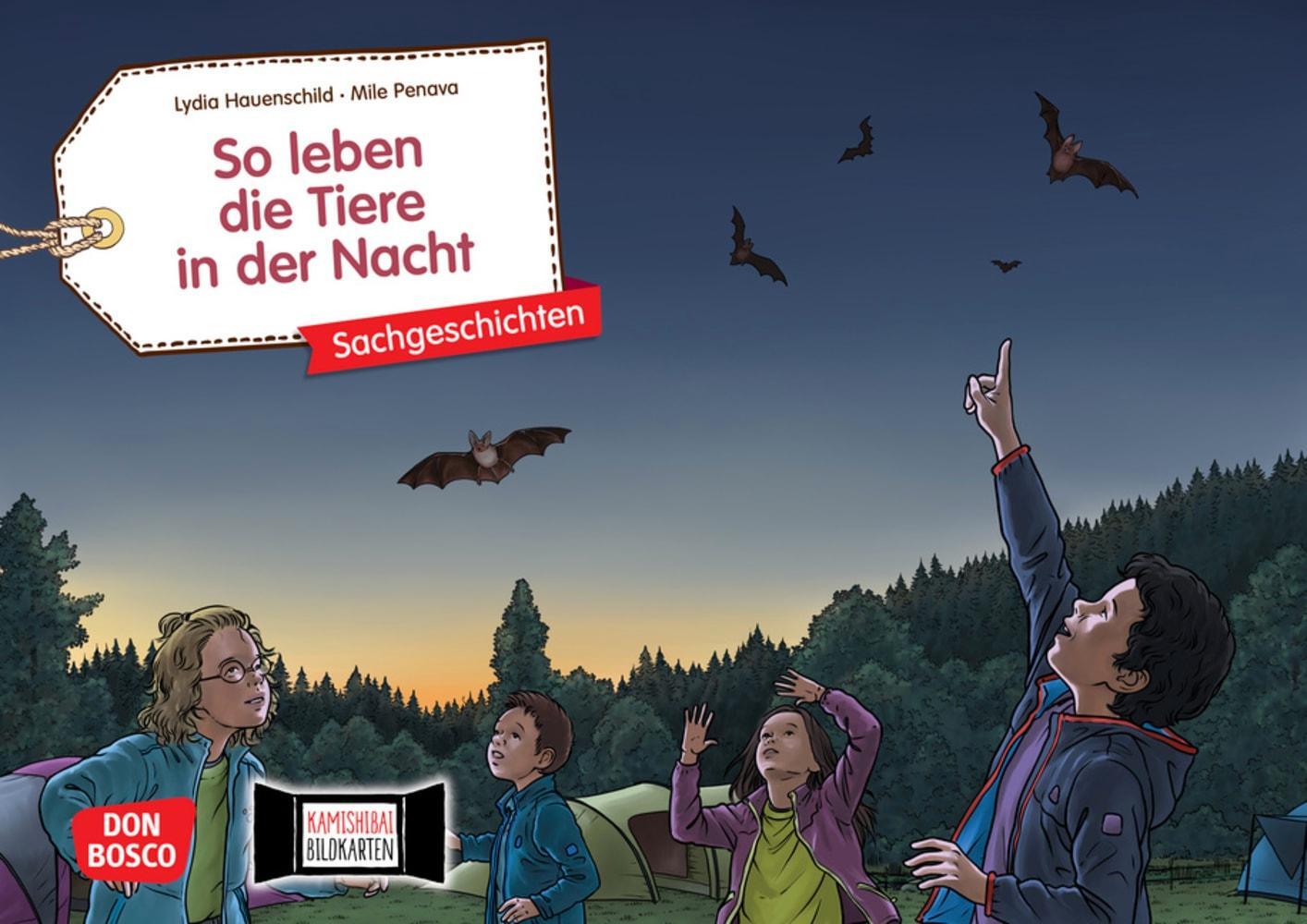 Cover: 4260179517600 | So leben die Tiere in der Nacht. Kamishibai Bildkartenset | Stück