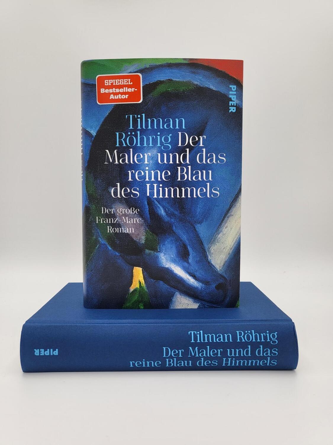 Bild: 9783492071789 | Der Maler und das reine Blau des Himmels | Tilman Röhrig | Buch | 2022