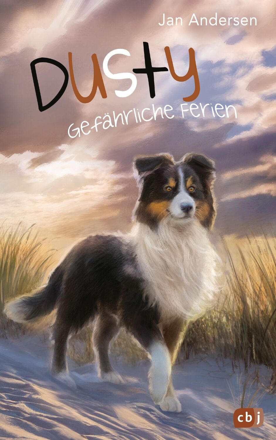 Cover: 9783570177426 | Dusty - Gefährliche Ferien | Jan Andersen | Buch | Dusty | 192 S.