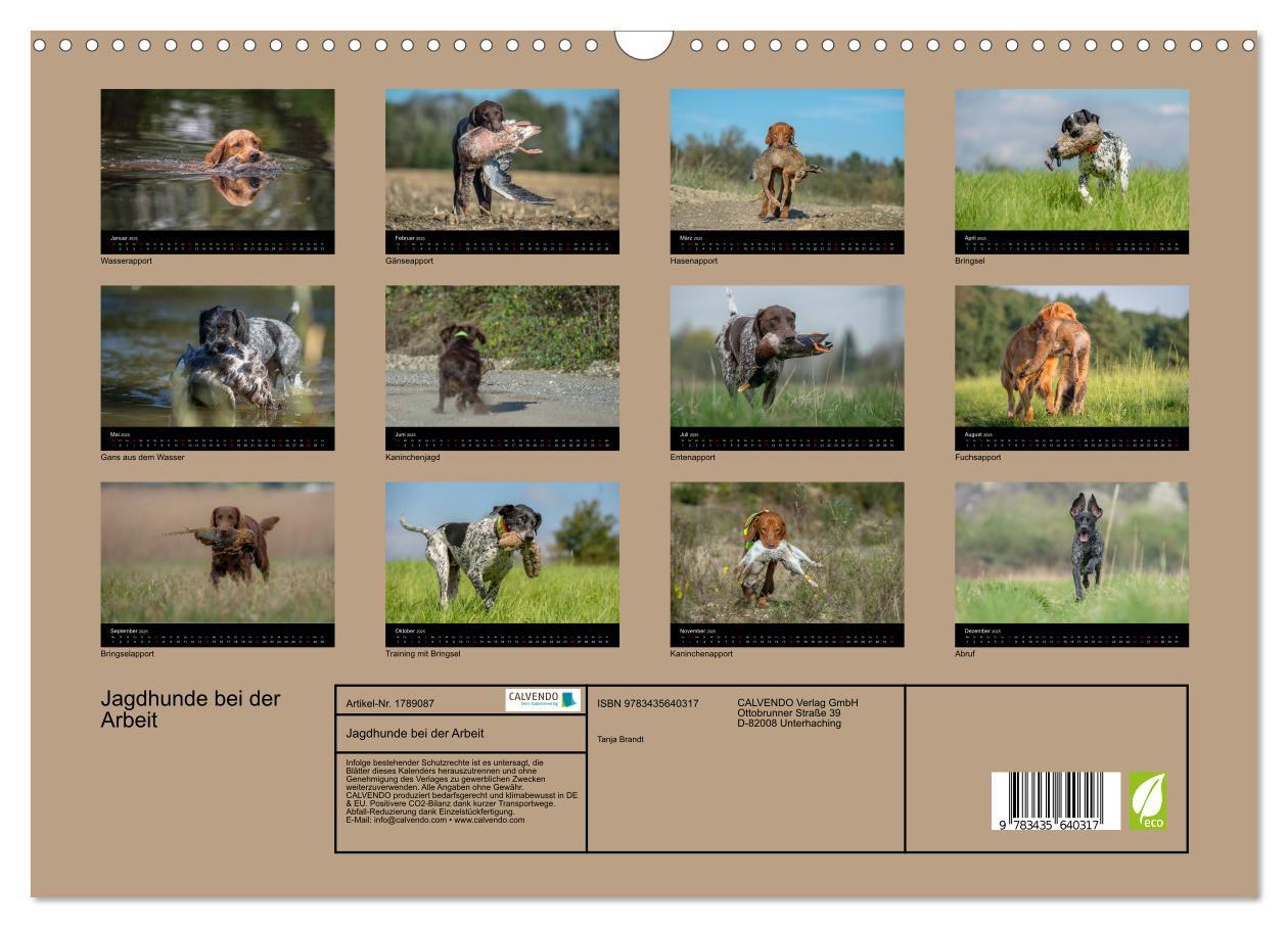 Bild: 9783435640317 | Jagdhunde bei der Arbeit (Wandkalender 2025 DIN A3 quer), CALVENDO...