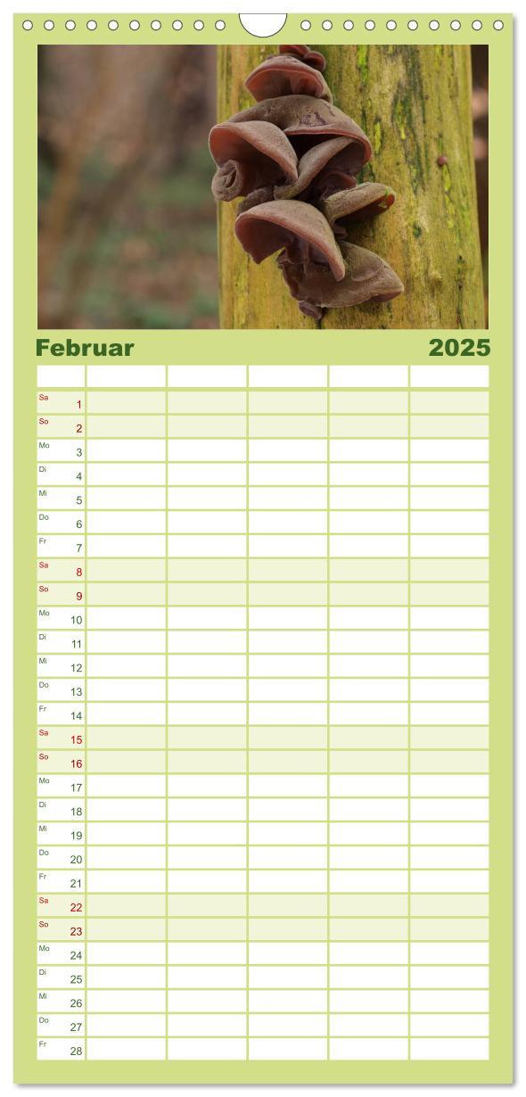 Bild: 9783457113059 | Familienplaner 2025 - Pilzkalender mit 5 Spalten (Wandkalender, 21...