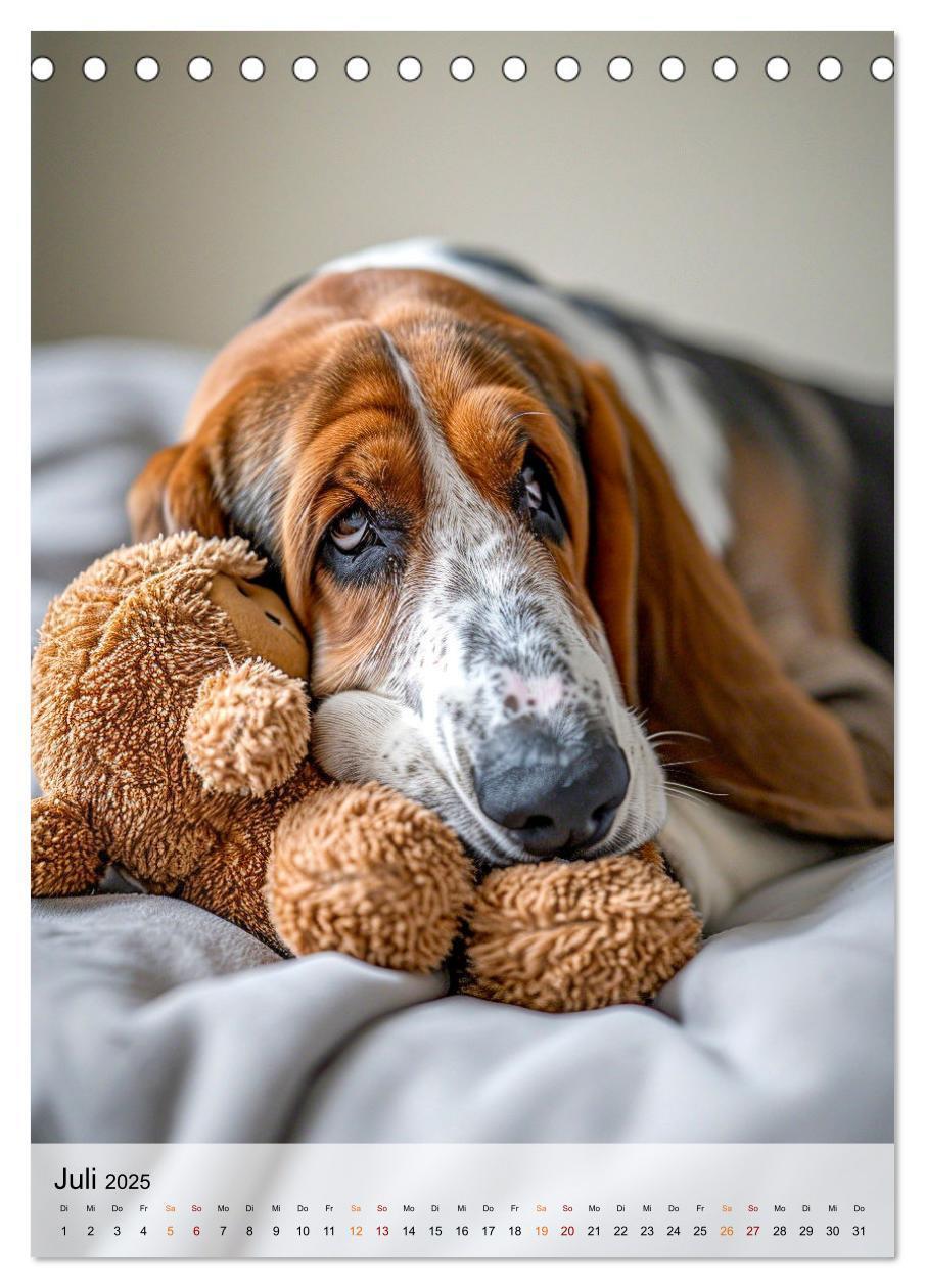 Bild: 9783383779923 | Basset Hound - freundlich und anhänglich (Tischkalender 2025 DIN A5...