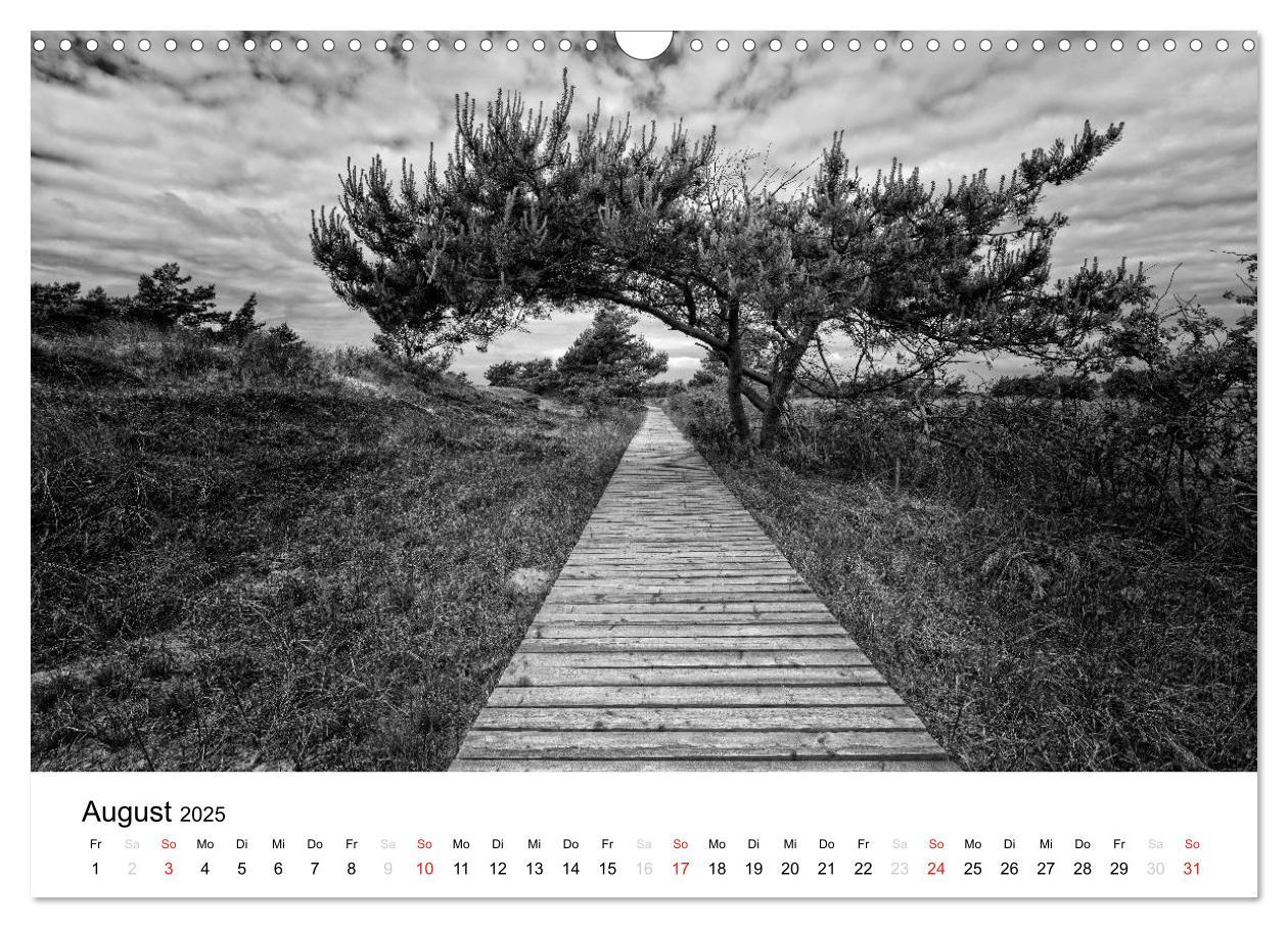 Bild: 9783435511914 | Ostseebad Zingst - Impressionen in Schwarz-Weiß (Wandkalender 2025...