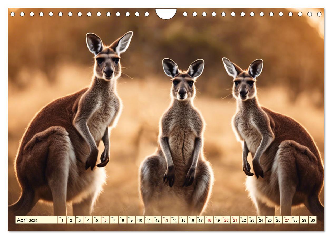 Bild: 9783435718443 | Australiens faszinierende Fauna (Wandkalender 2025 DIN A4 quer),...