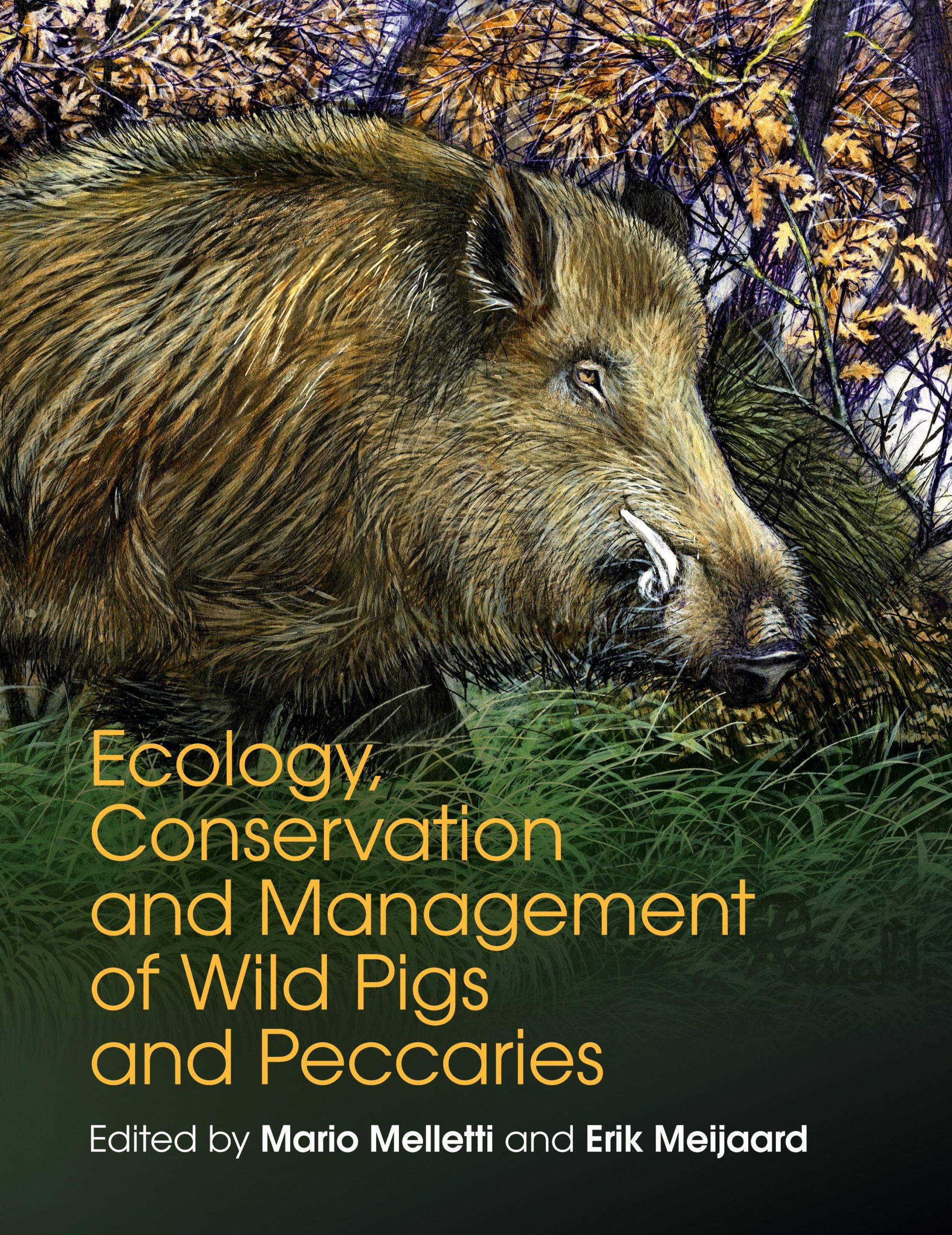 Cover: 9781107187313 | Ecology, Conservation and Management of Wild Pigs and Peccaries | Buch