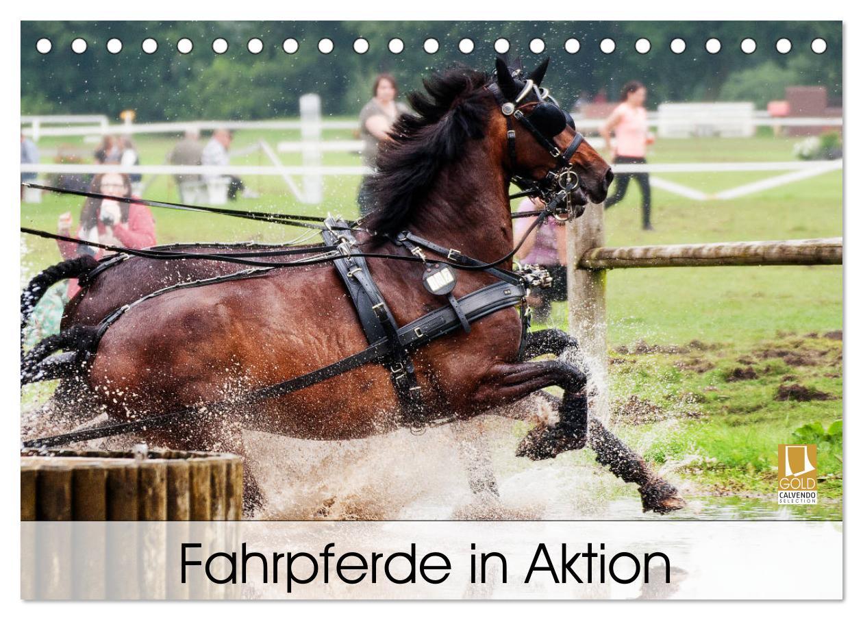 Cover: 9783435331345 | Fahrpferde in Aktion (Tischkalender 2025 DIN A5 quer), CALVENDO...