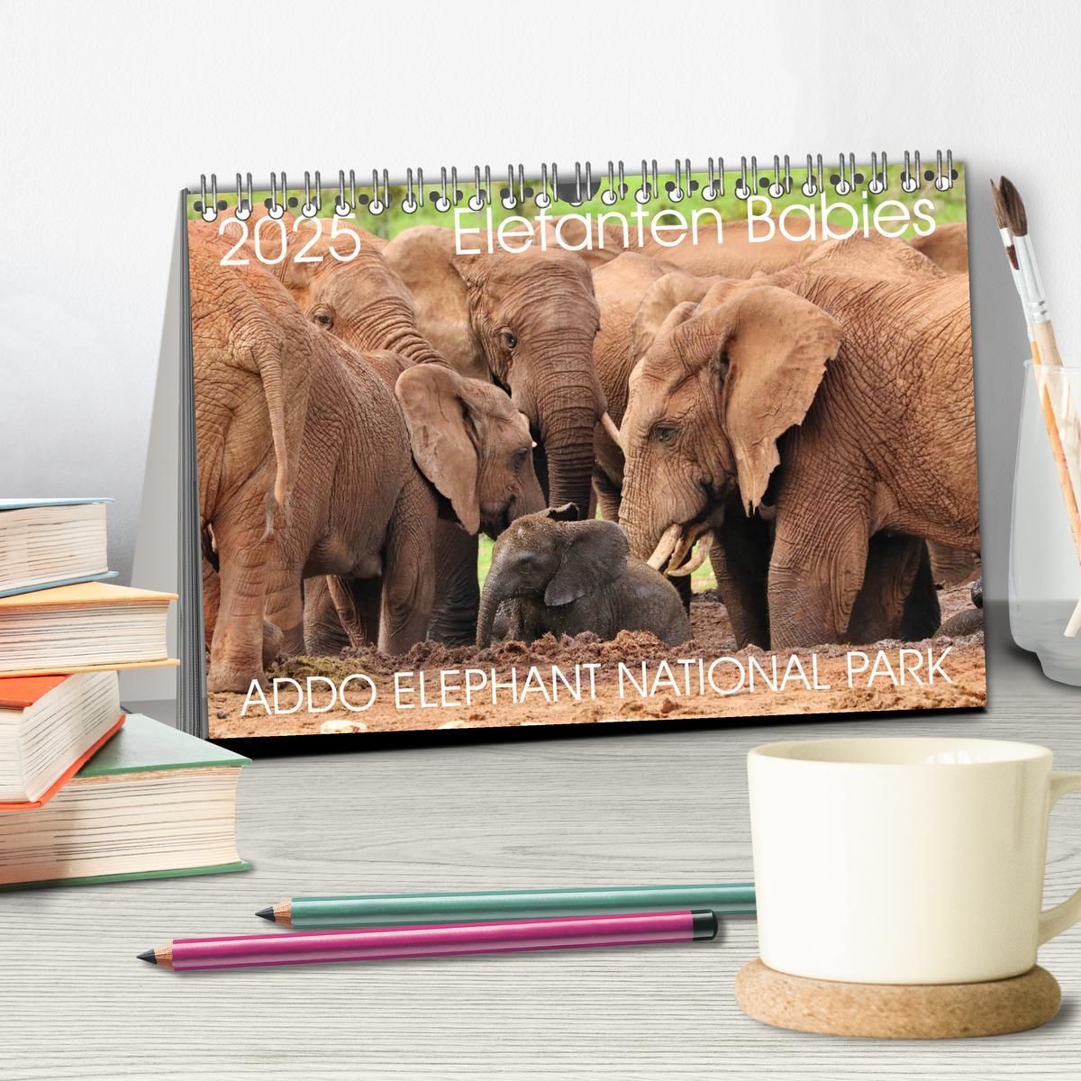 Bild: 9783435227921 | ADDO ELEPHANT NATIONAL PARK Elefanten Babies (Tischkalender 2025...