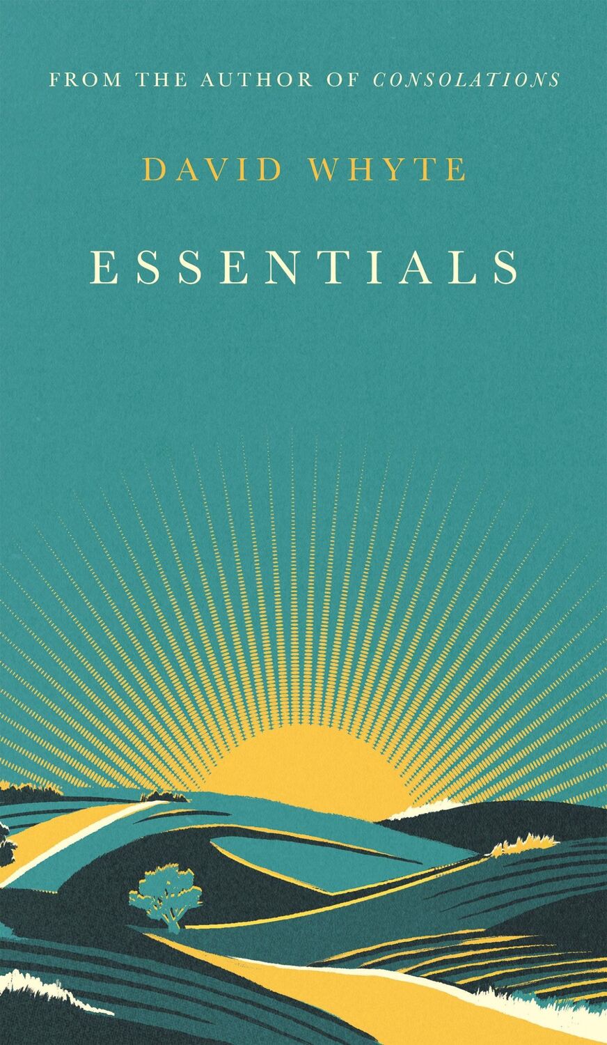 Cover: 9781838858124 | Essentials | Poems and Consolations | David Whyte | Buch | Print PDF