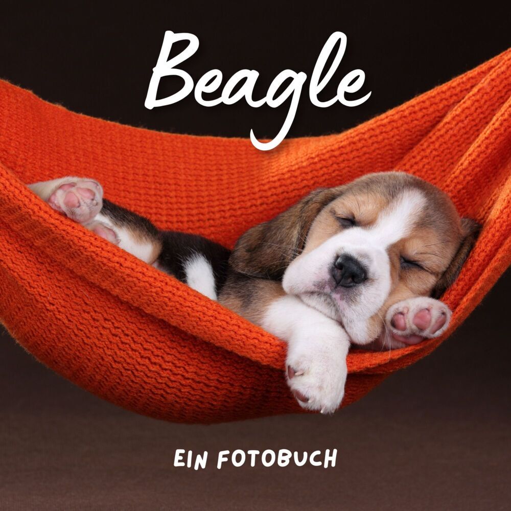 Cover: 9783750514362 | Beagle | Ein Fotobuch | Bibi Hübsch | Taschenbuch | 42 S. | Deutsch