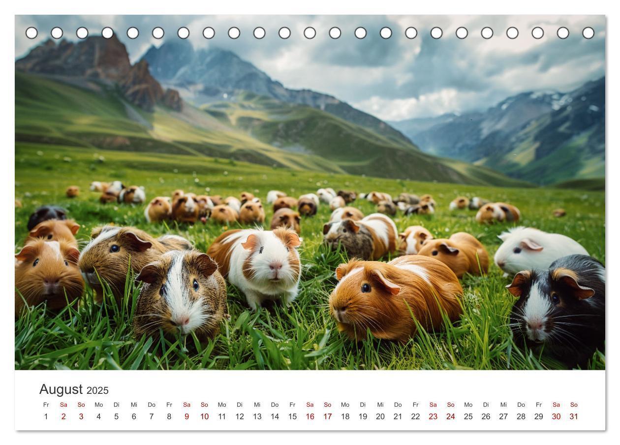 Bild: 9783383812378 | Wuschelbande - Ein Jahr voller Meerschweinchen (Tischkalender 2025...