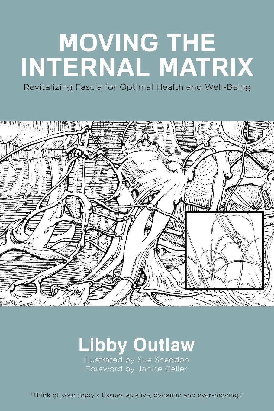 Cover: 9781635050806 | Moving the Internal Matrix | Libby Outlaw | Taschenbuch | Paperback