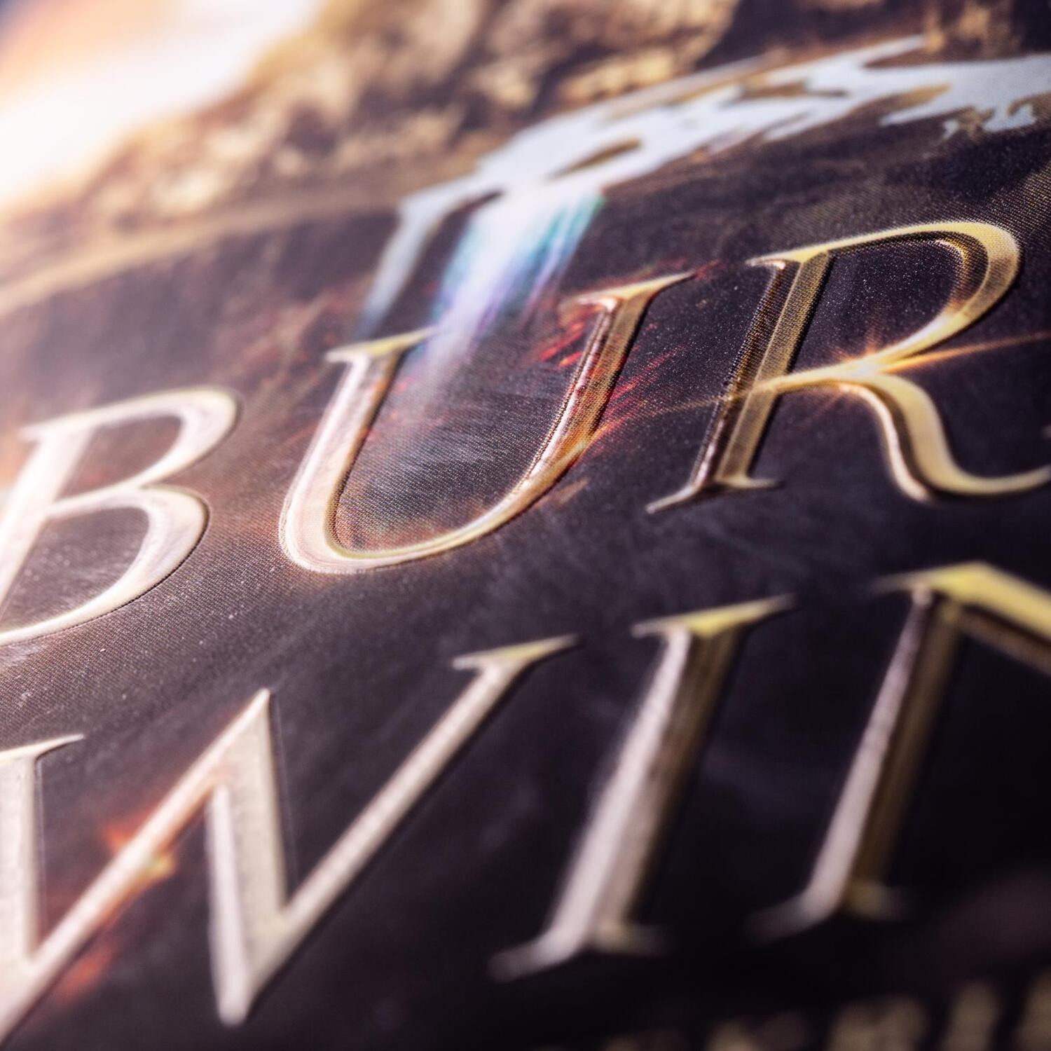 Bild: 9783551584533 | City of Burning Wings. Die Aschekriegerin | Lily S. Morgan | Buch