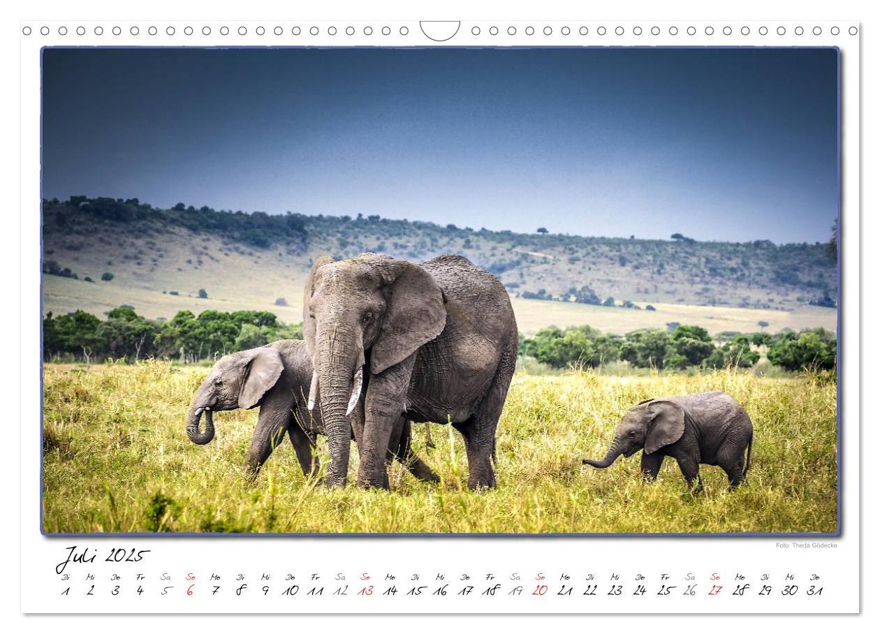 Bild: 9783435488773 | Abenteuer Masai Mara (Wandkalender 2025 DIN A3 quer), CALVENDO...