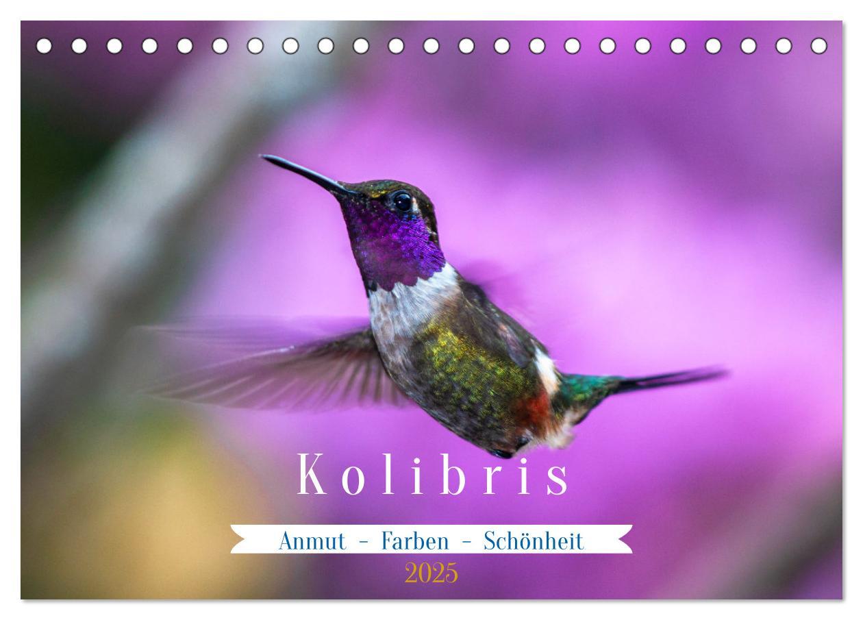 Cover: 9783435428588 | Kolibris; Anmut, Schönheit, Farben (Tischkalender 2025 DIN A5...