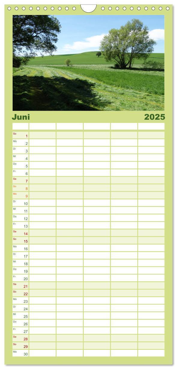 Bild: 9783457116005 | Familienplaner 2025 - Jahreszeiten mit 5 Spalten (Wandkalender, 21...