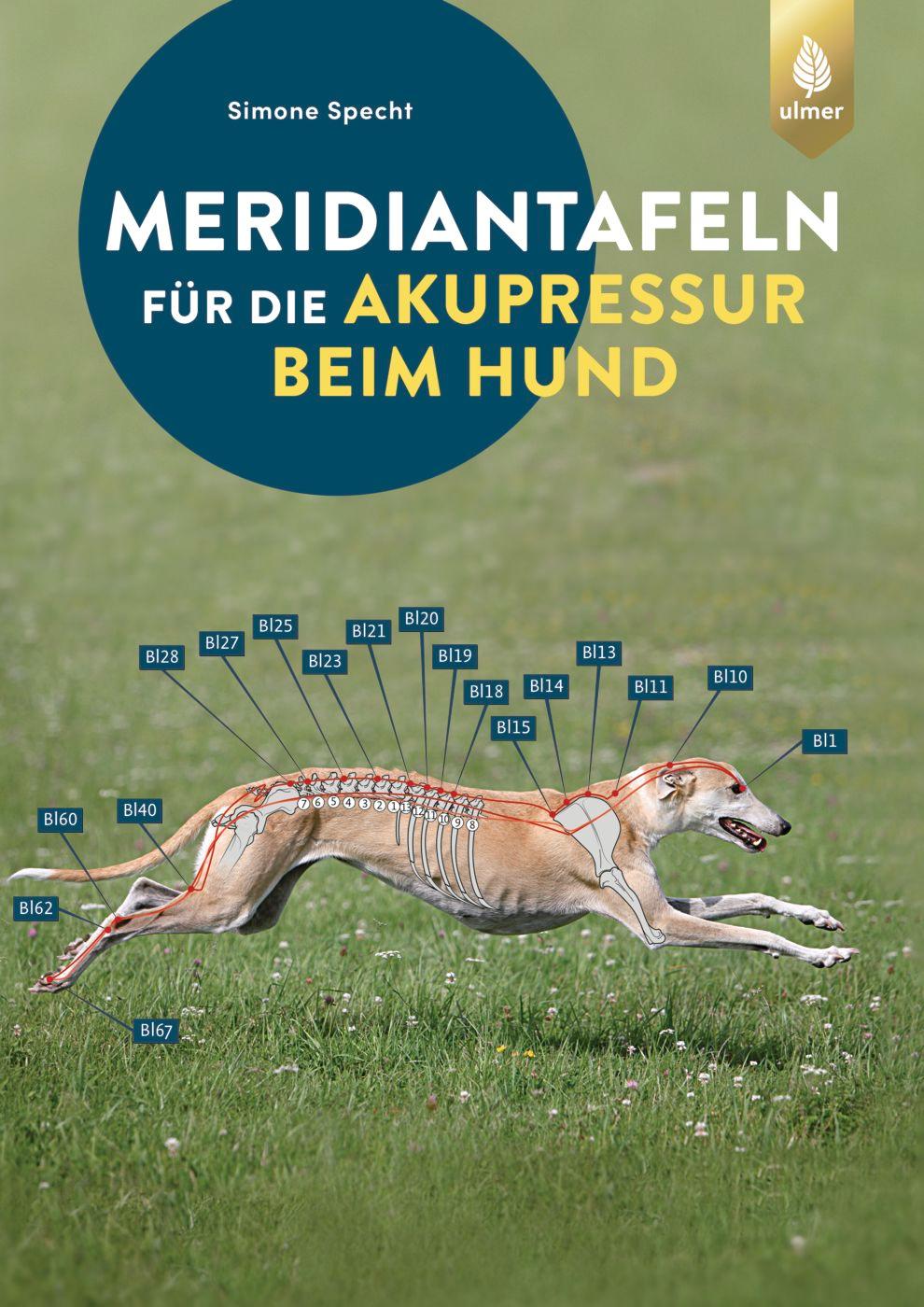 Cover: 9783818614362 | Meridiantafeln für die Akupressur beim Hund | Simone Specht | Buch