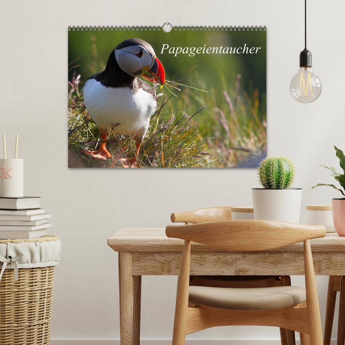 Bild: 9783435815258 | Papageientaucher (Wandkalender 2025 DIN A3 quer), CALVENDO...