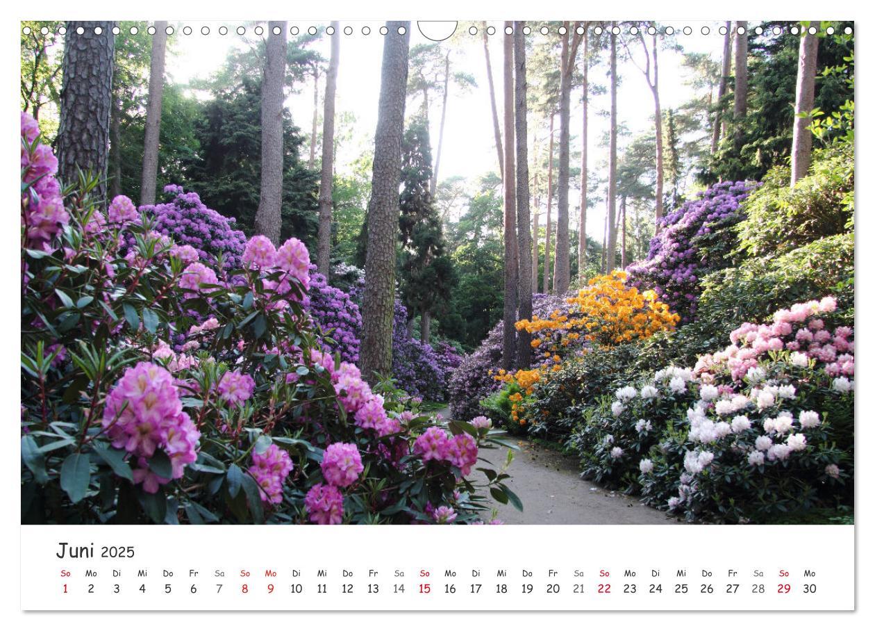 Bild: 9783435078431 | Zauberhaftes Ammerland (Wandkalender 2025 DIN A3 quer), CALVENDO...