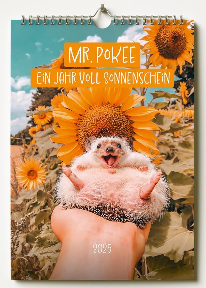 Cover: 9783989352049 | Mr.Pokee - Ein Jahr voll Sonnenschein | Talitha Girnus | Kalender