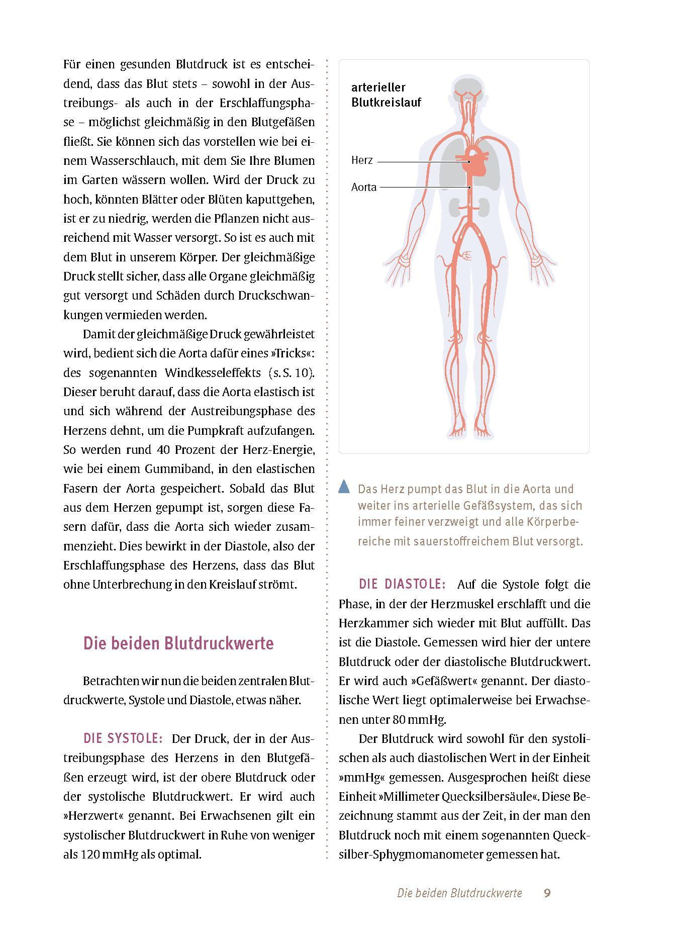 Bild: 9783432118772 | Expertenwissen: Bluthochdruck | Thomas Mengden (u. a.) | Taschenbuch