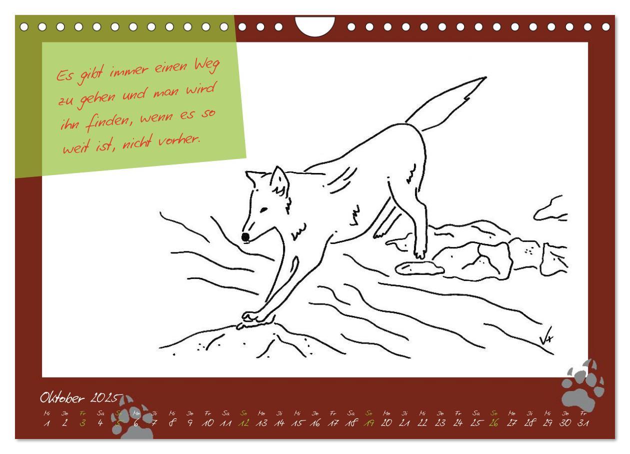 Bild: 9783435726660 | Der kleine GROSSE Wolf - Kalender (Wandkalender 2025 DIN A4 quer),...