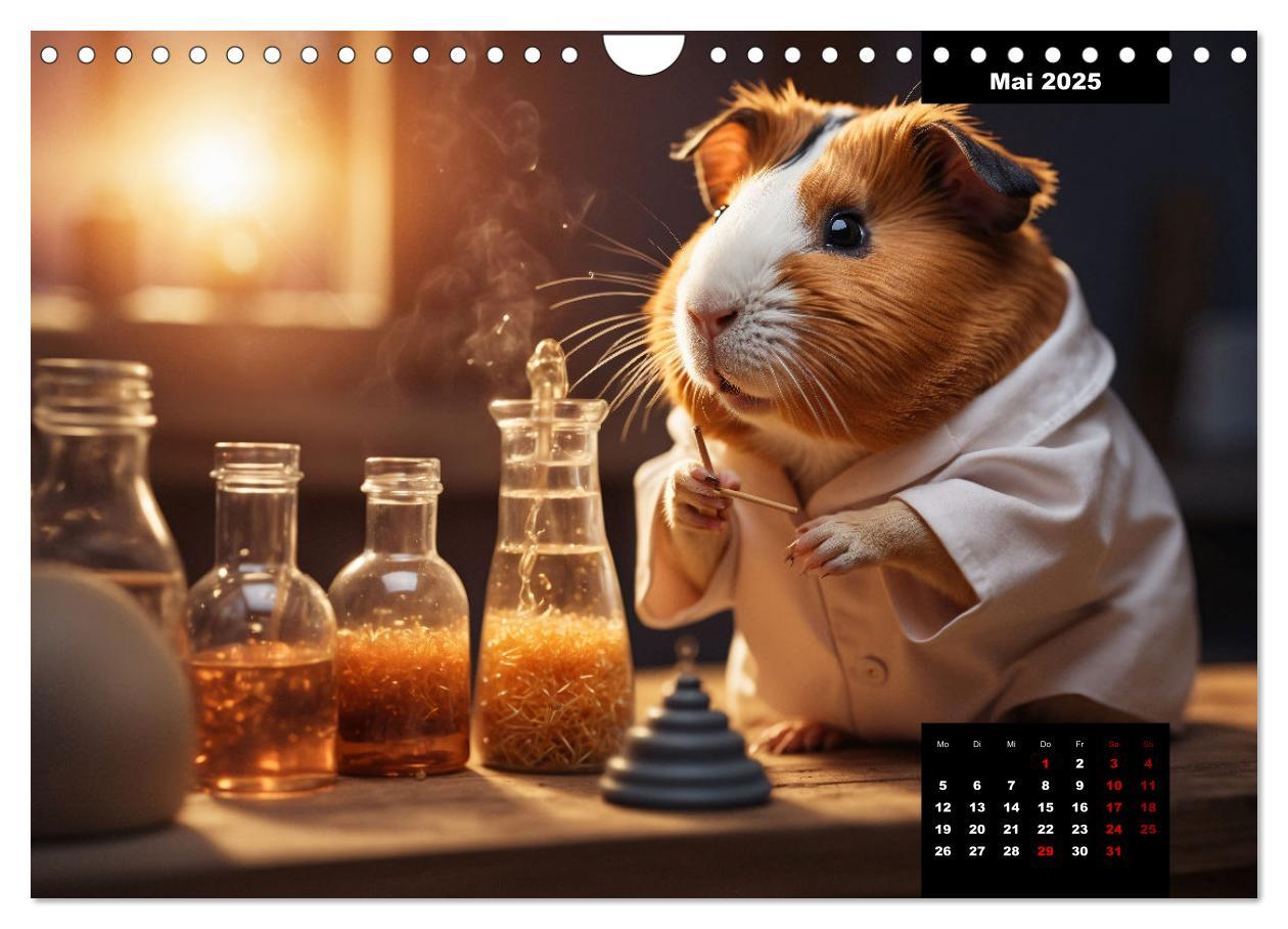 Bild: 9783435011865 | Meerschweinchen mal anders! (Wandkalender 2025 DIN A4 quer),...