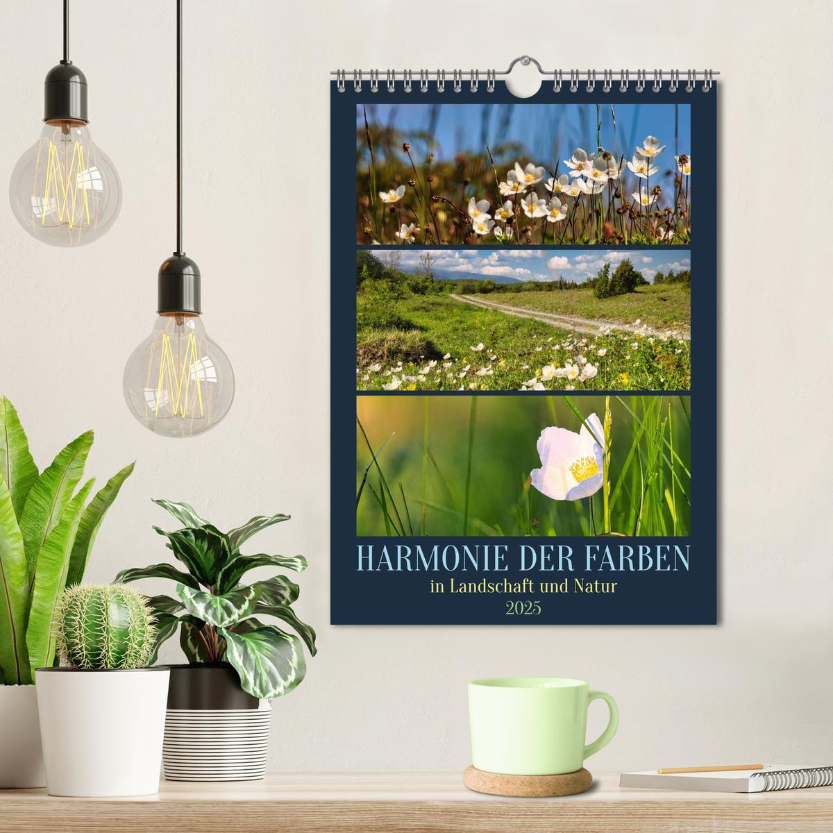 Bild: 9783457146224 | Harmonie der Farben in Landschaft und Natur (Wandkalender 2025 DIN...