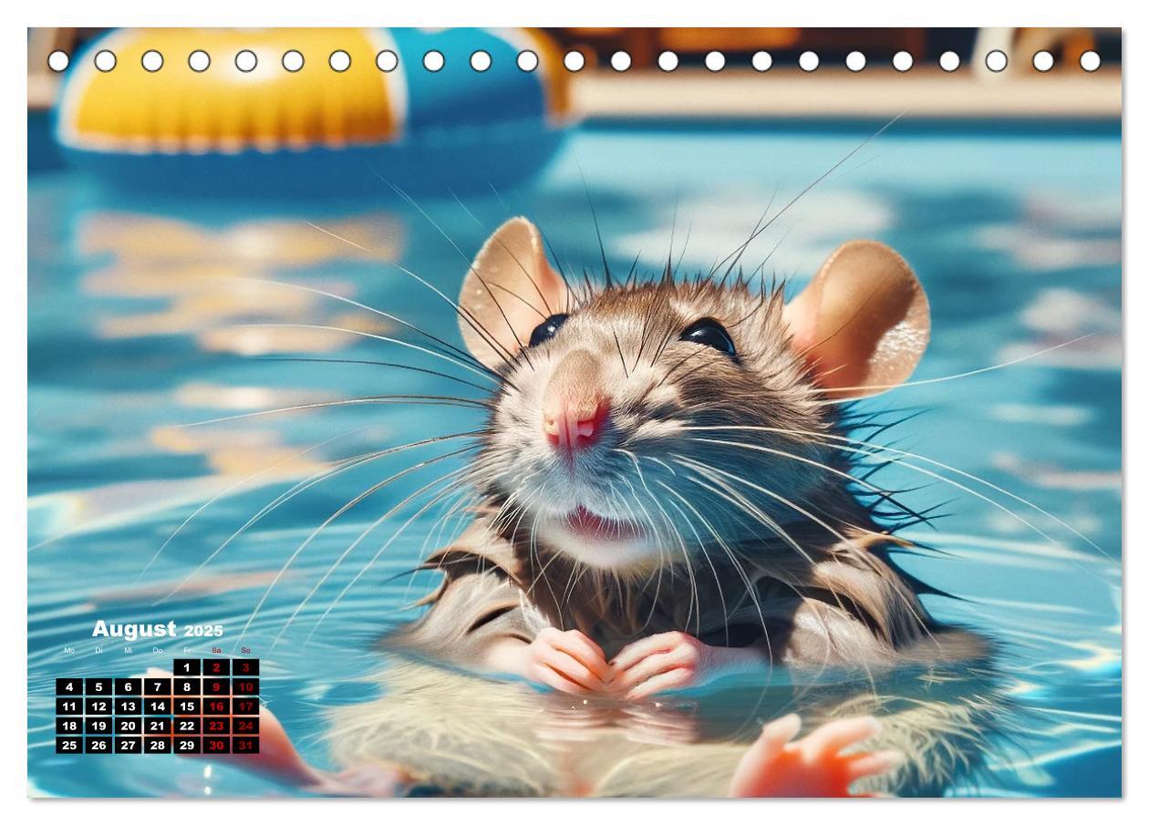 Bild: 9783383842221 | Lustige Ratten (Tischkalender 2025 DIN A5 quer), CALVENDO...