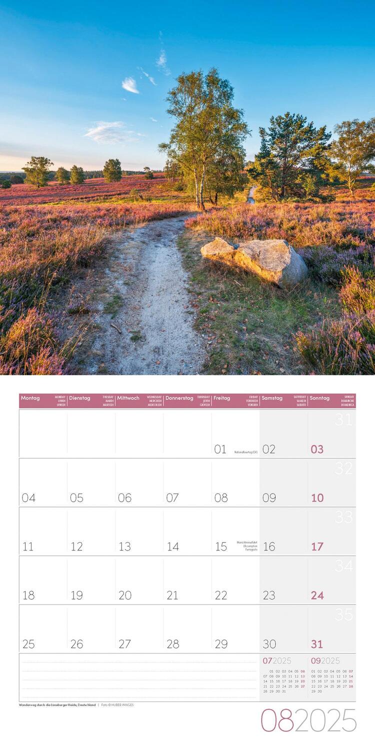 Bild: 9783838445045 | Traumpfade Kalender 2025 - 30x30 | Ackermann Kunstverlag | Kalender