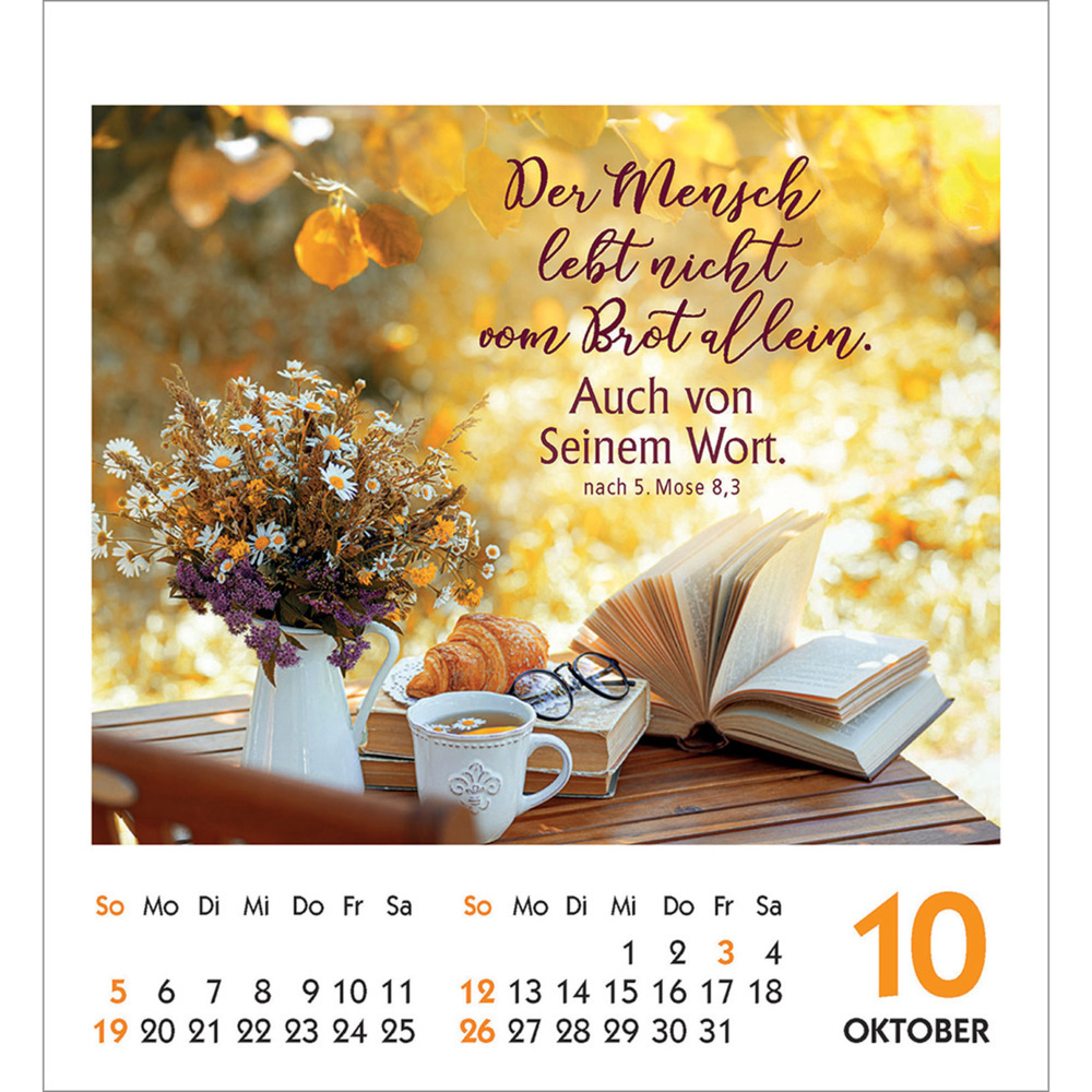 Bild: 9783754890257 | Frei sein &amp; leben 2025 | Aufkleber-Kalender | Kalender | 14 S. | 2025