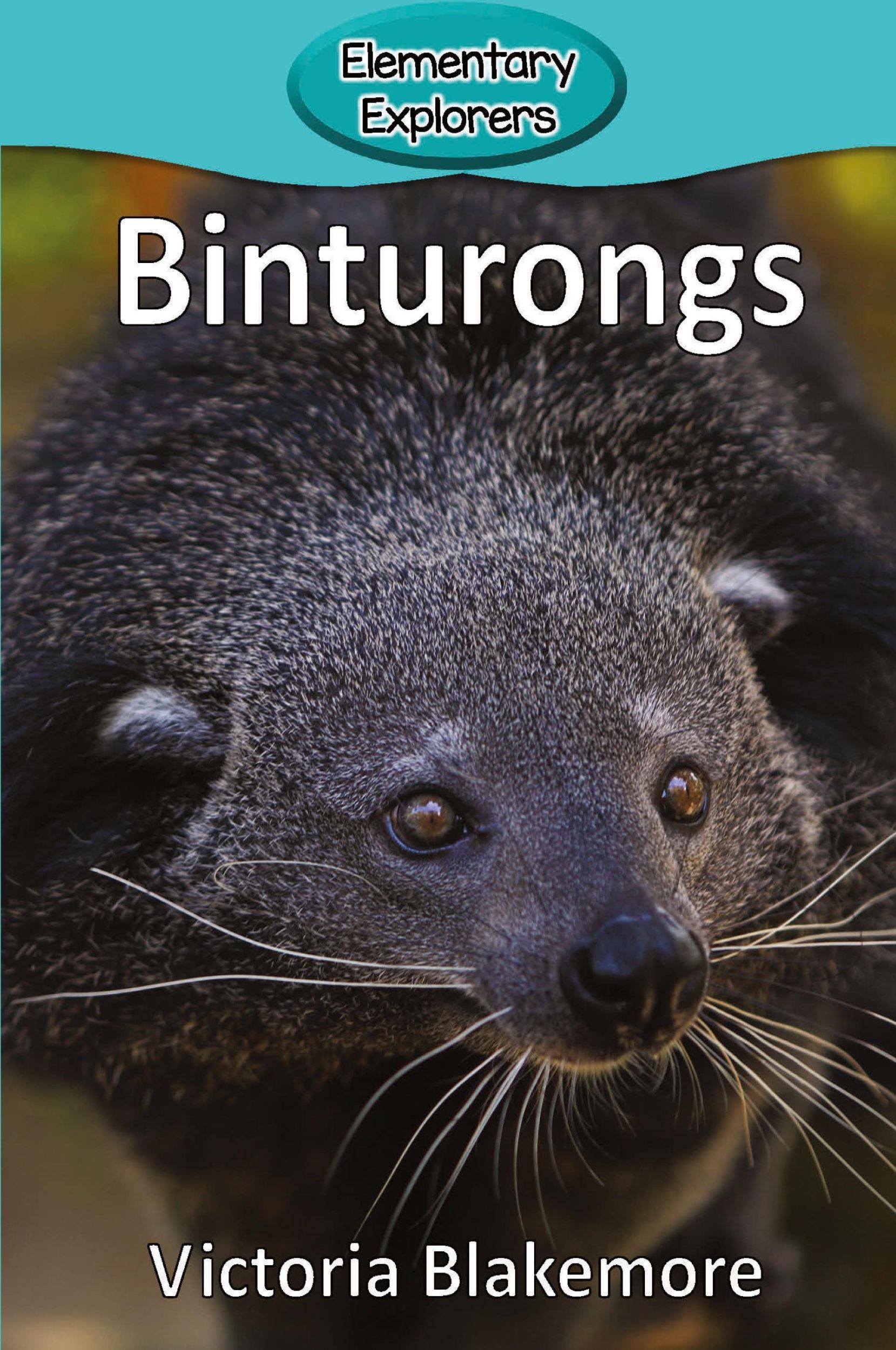 Cover: 9781947439382 | Binturongs | Victoria Blakemore | Taschenbuch | Englisch | 2017