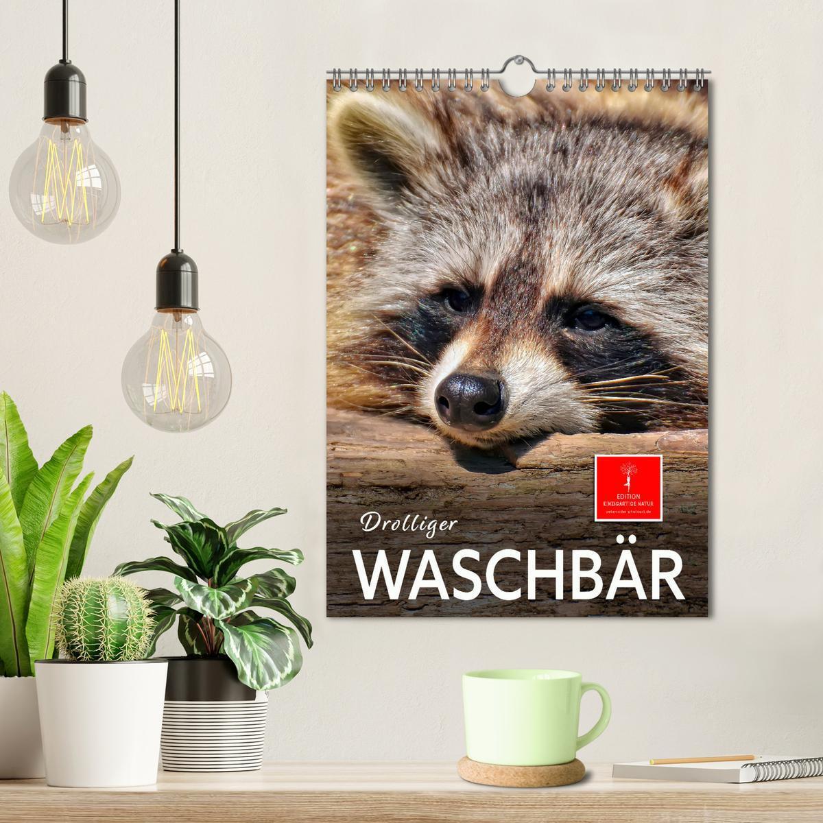 Bild: 9783435903825 | Drolliger Waschbär (Wandkalender 2025 DIN A4 hoch), CALVENDO...