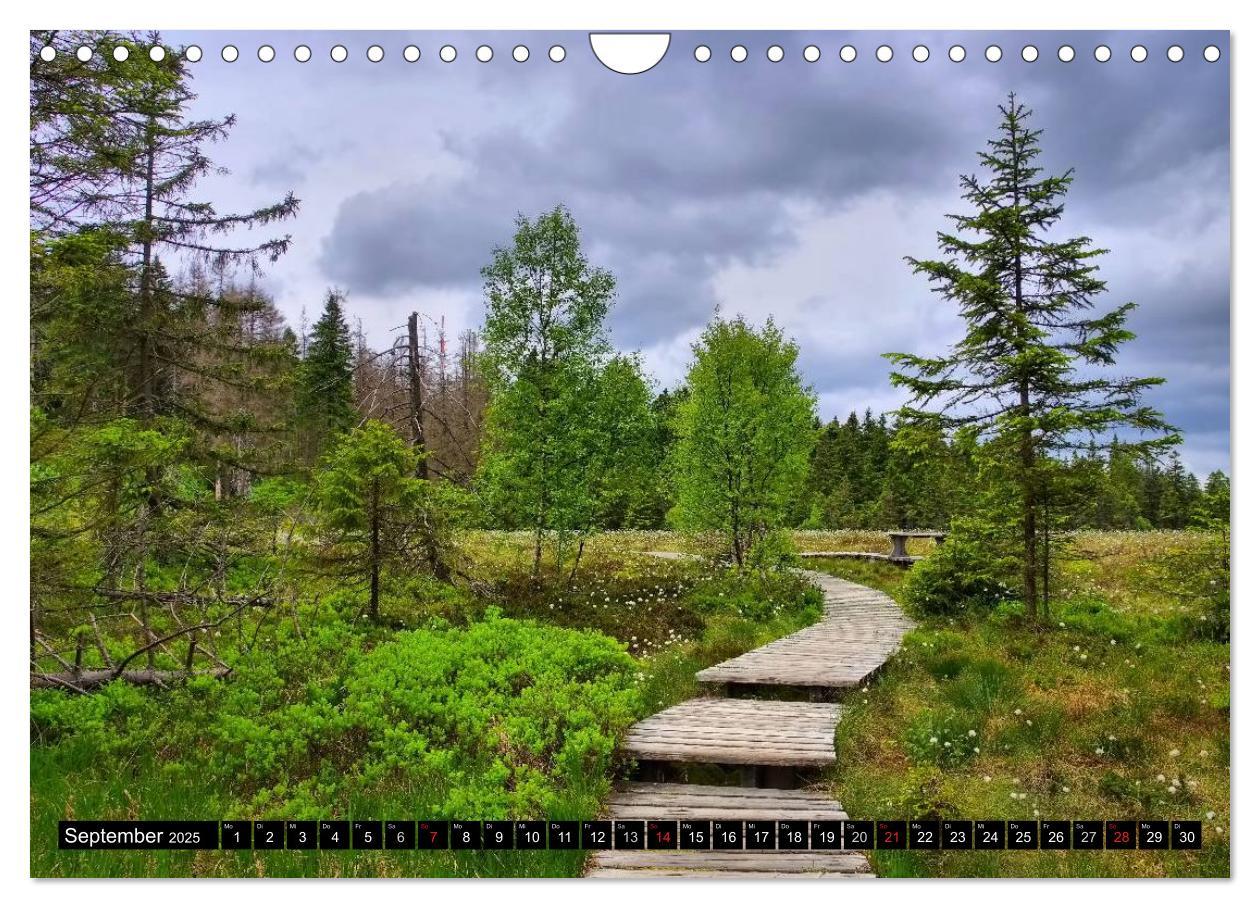 Bild: 9783435516247 | Der Harz - Schönstes Mittelgebirge Deutschlands (Wandkalender 2025...