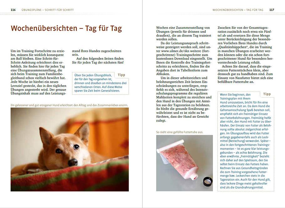 Bild: 9783818616083 | Sachkundenachweis für Hundehalter | Celina Del Amo | Taschenbuch