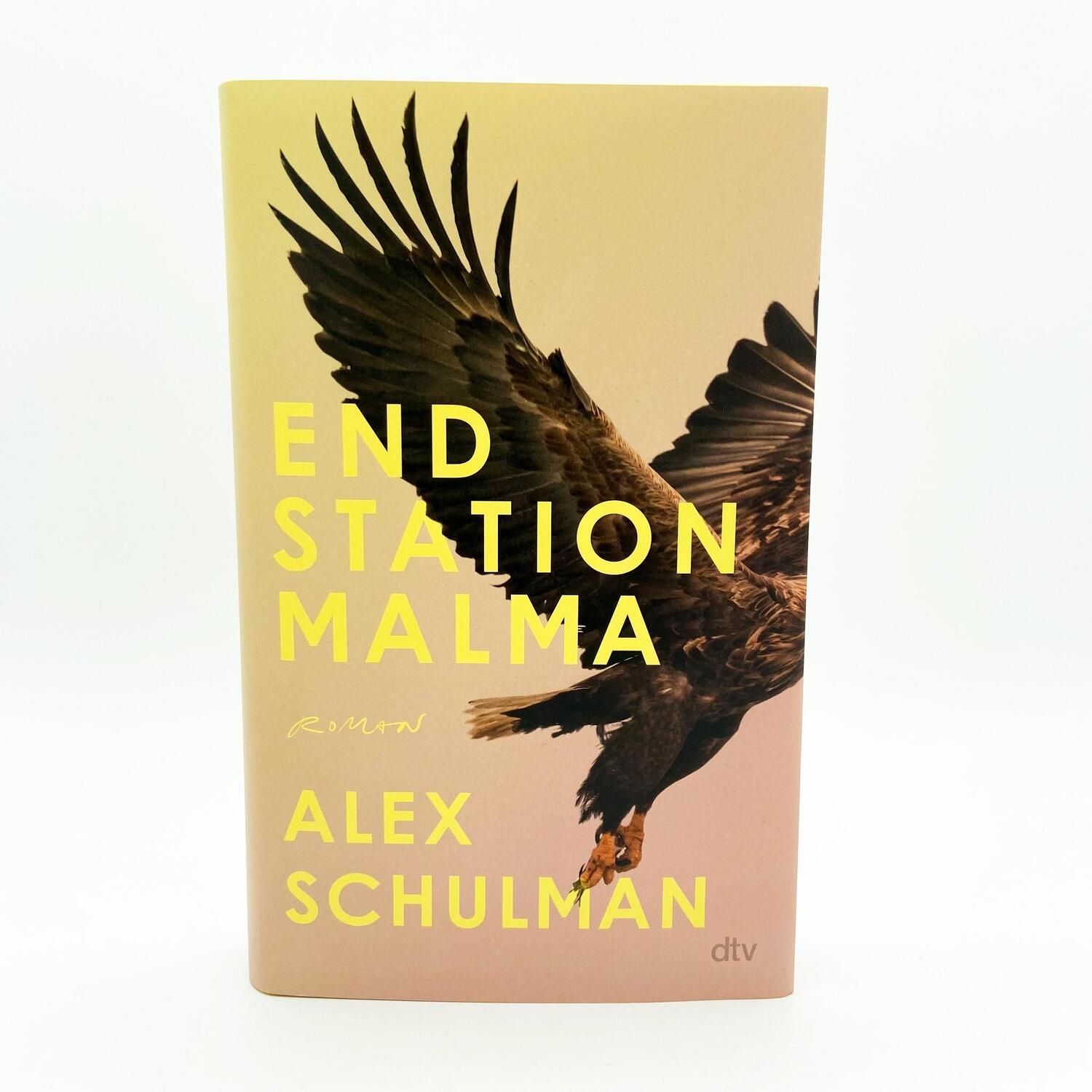 Bild: 9783423283533 | Endstation Malma | Roman | Alex Schulman | Buch | 320 S. | Deutsch